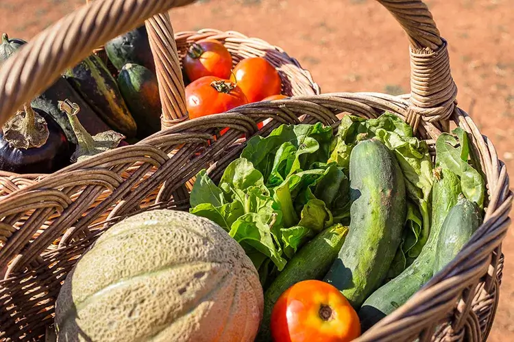 Frisches Obst und Gemüse von istrischen Bauernhöfen