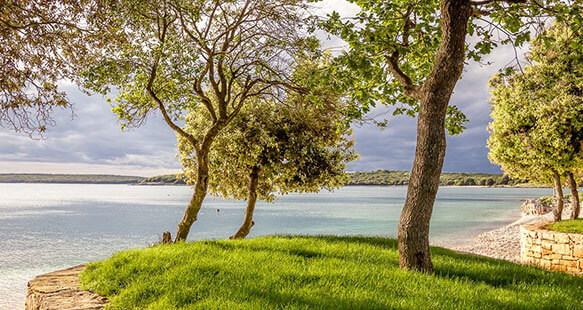 Unberührte Natur am Meer in Bale